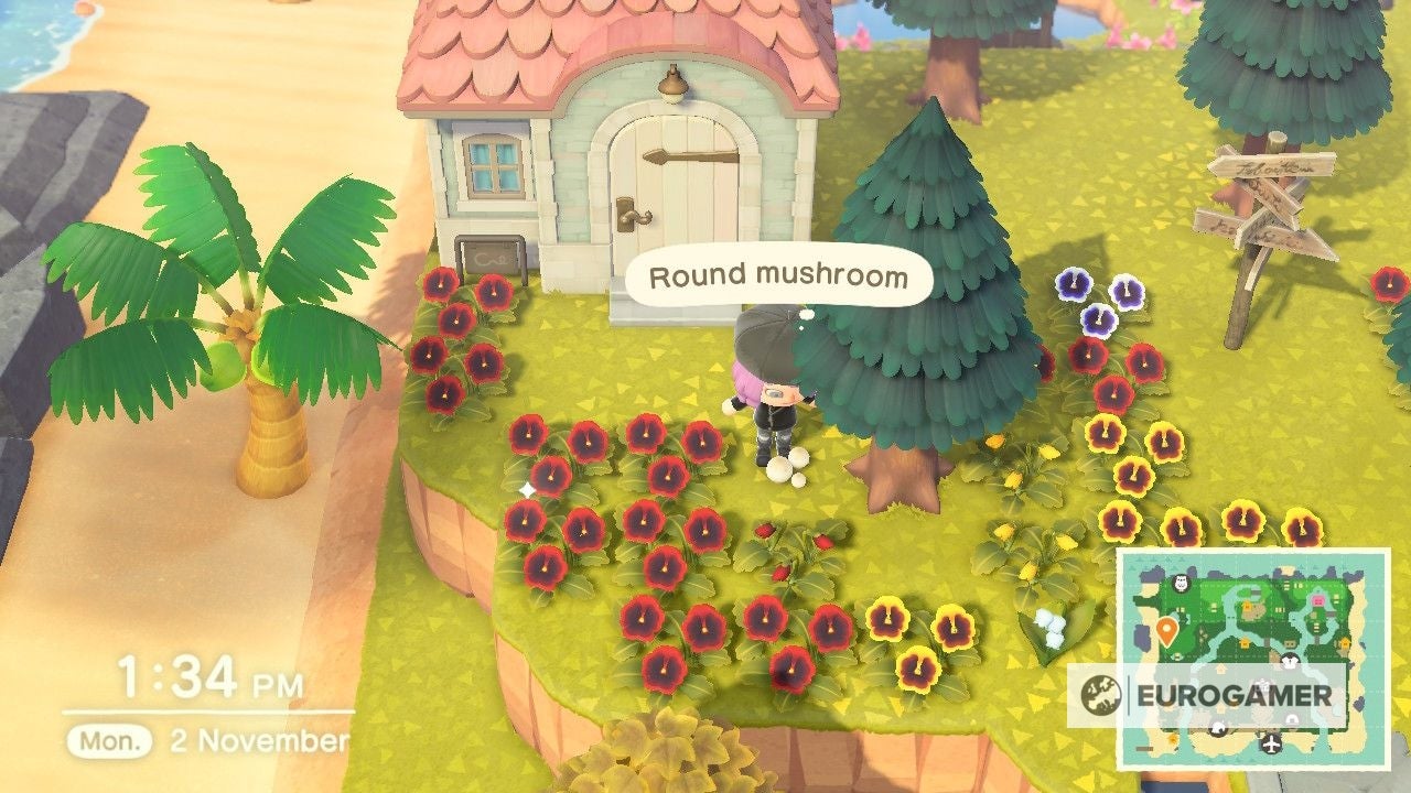 Animal Crossing Cooking Ingredients and how to unlock cooking in New
